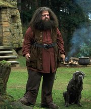 Hagrid6.jpg