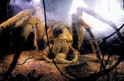 Aragog.jpg