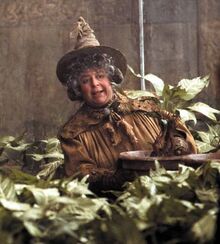 389633-harry-potter-harry-potter-pomona-sprout.jpg