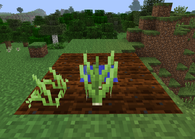File:Scallion Growth.png