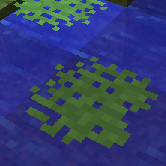WaterGarden-new