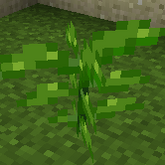 StalkGarden