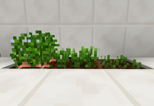 File:Beet.png