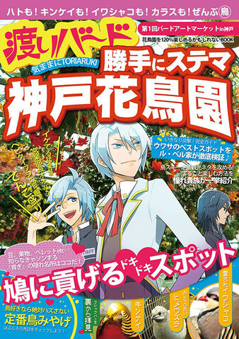 File:Toriaruki.jpg