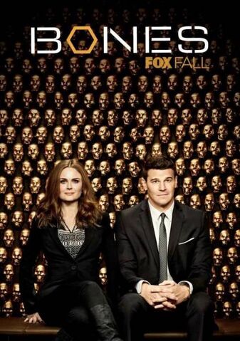 Datei:Bones Poster.jpg