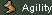 Agi