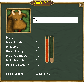 Bull info