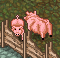 Piggies2