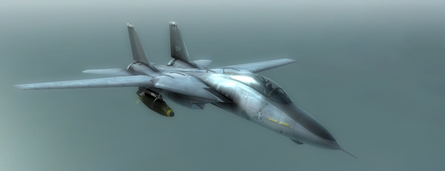 File:F-14B Bombcat.png