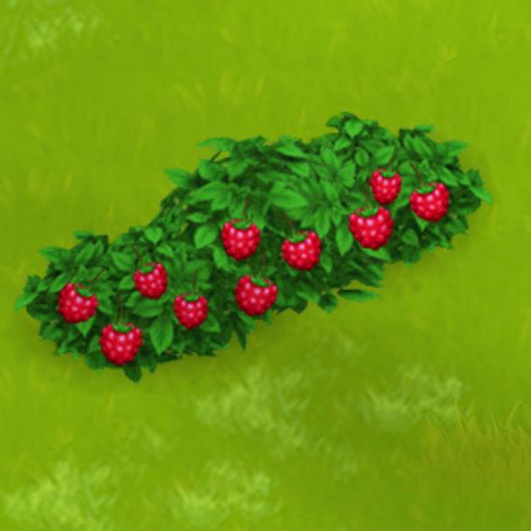 File:Raspberry Bush Harvest 3.png
