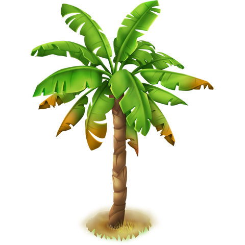 File:Palm Tree.png