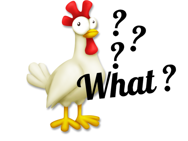File:What.png