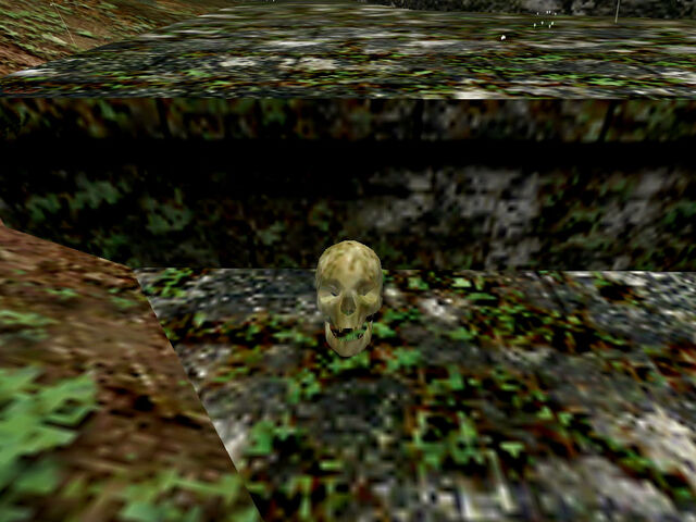 File:Ee-burma1-skull2.jpg