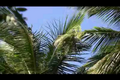 Thumbnail for version as of 21:20, October 22, 2010