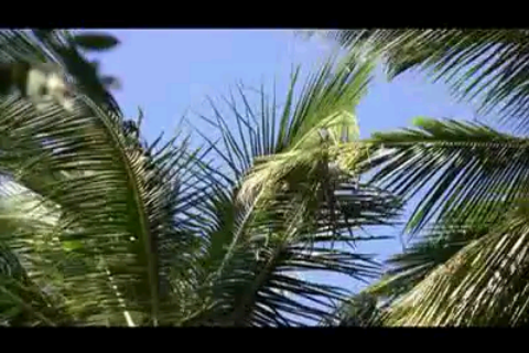File:IMG 0367.PNG