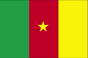 Cm-lgflag