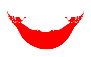 640px-Flag of Rapa Nui, Chile.svg