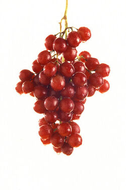 Grapes
