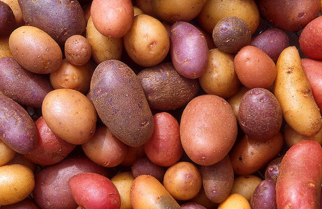 File:Potatoe varieties.jpg