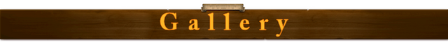 File:HeaderGallery.png