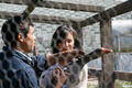 Thumbnail for version as of 17:38, May 4, 2013