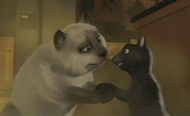 File:Overthehedge11.jpg