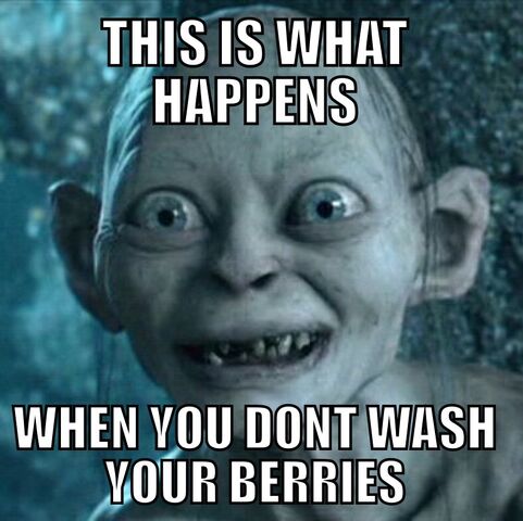 File:Imageberries.jpg