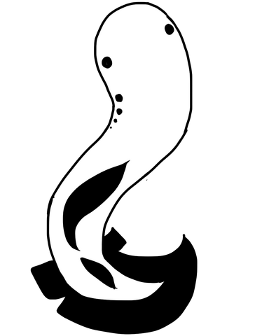File:Whitelamprey.png