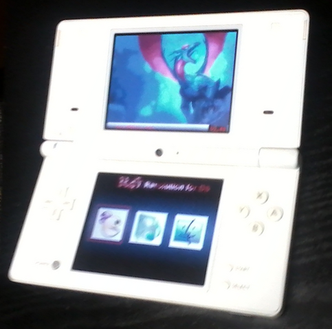 File:DS-screen.png