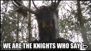 B knights