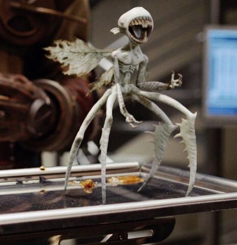 File:ToothFairy.jpg