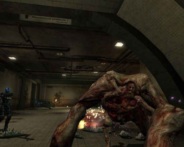 File:Maggotspawner-2.jpg