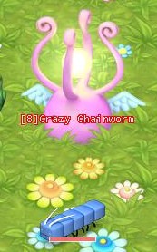 HKO a Crazy Chainworm0161