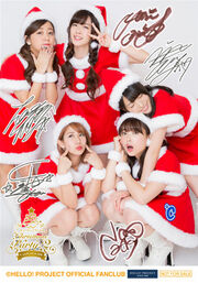 CuteCutieLand11Group