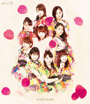 ANGERMEHyakkaRyouran-BDCover