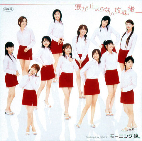 File:NamidagaTomaranaiHoukago-dvd.jpg