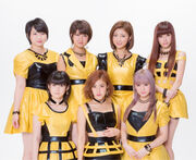 Berryzkobophotovol2.jpg