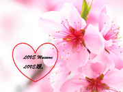 LOVE Musume