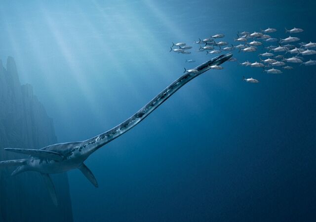 Файл:Sea Monsters.jpg