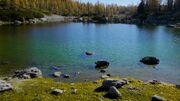 Lake Swellview Above