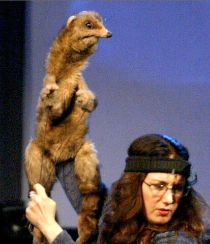 File:PuppetUp Ferret.jpg