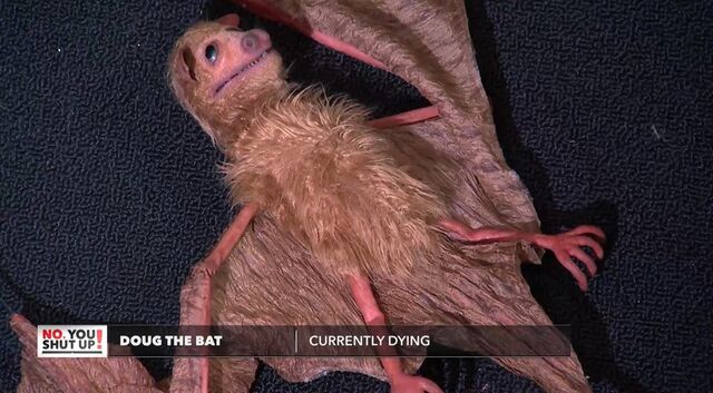 File:Doug the Bat.jpg