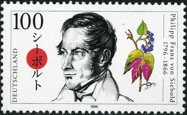 Archivo:Siebold (timbre RFA).jpg