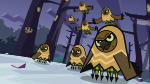 Owls