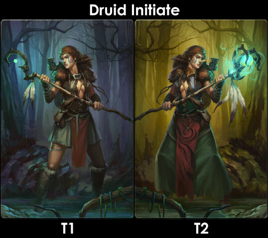 File:DruidInitiateEvo.jpg