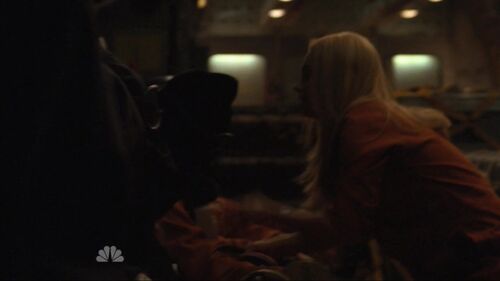Hooded tracy 10