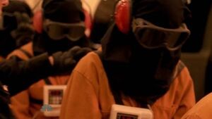 Hooded tracy
