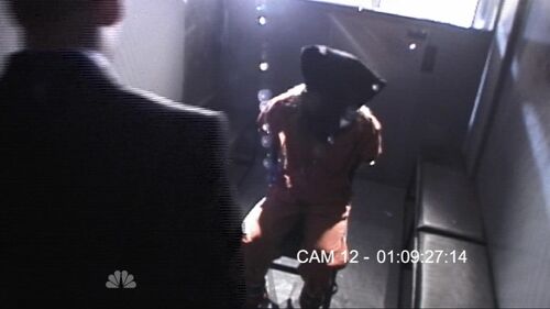 Hooded tracy 13