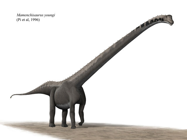 File:Mamenchisaurus youngi steveoc 86.jpg
