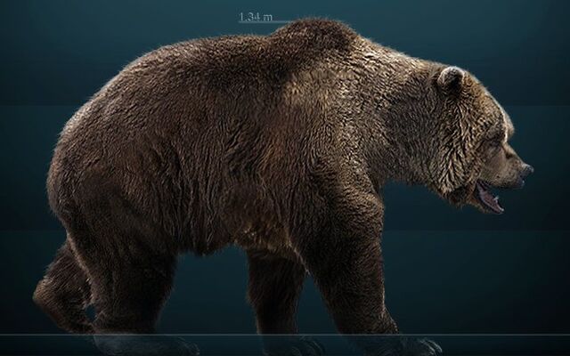 File:Cave Bear.jpg